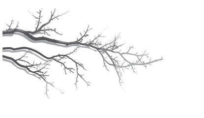 Fototapeta premium blur trees branches shadow illustration, transparent background png, tree vector, isolated nature design, green leaves vector, natural forest silhouette, shadow branches