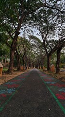  Scenic Tree-Lined Pathway with Artistic Floral Designs on Pavement
