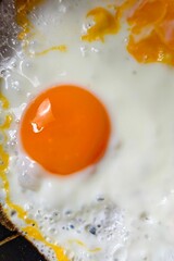 Close-Up of a Perfectly Fried Egg with Runny Yolk