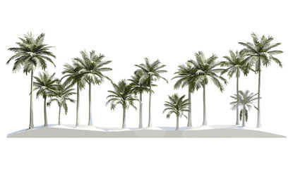 Obraz premium Large palm trees tropics shapes cutout png, vector illustration, tropical backgrounds, palm silhouette, summer, beach, exotic nature, tropical design, jungle, greenery, nature background
