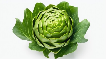 Obraz premium backdrop artichoke on white