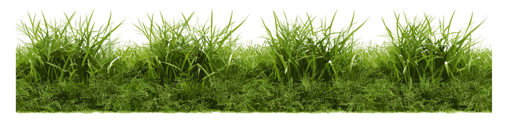 Meadow PNG file cut out backgrounds vector illustration, grassy shapes, nature, landscape design, green fields, eco-style, outdoor textures, summer greenery, nature scenery