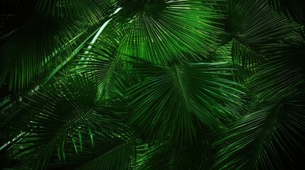 leaves green palm trees