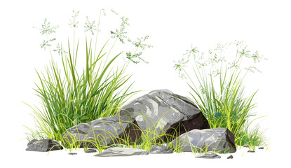 Nature vector illustration with green grass, rocks, scenery clipart, transparent background, wild grass, outdoor landscape, scenic nature, natural rocks, grass design, landscape view © aura studio