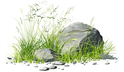 Vector illustration of long green grass, rocks scenery, nature clipart, transparent background, wild grass, natural landscape, scenic rocks, outdoor nature, green grass background