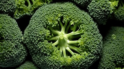 tender broccoli texture