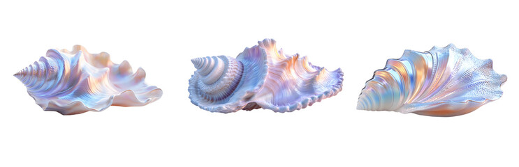 Obraz premium Iridescent Seashells On Transparent background