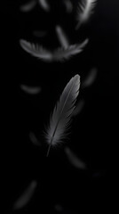 Obraz premium Falling White Feathers on Black Background: Ethereal Softness, Abstract Art, Delicate Plumes, Gentle Descent, Dreamy Texture, Minimalist Design, Stock Photo