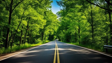 Fototapeta premium adventure road ahead