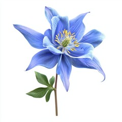 Beautiful Blue Flower with Delicate Petals and Bright Yellow Stamen on a White Background