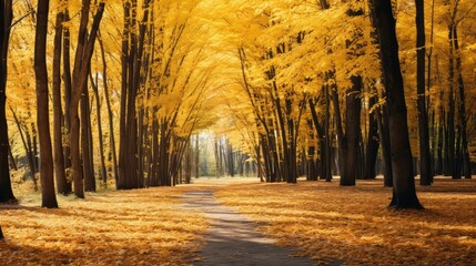 Fototapeta premium golden autumn leaves wind