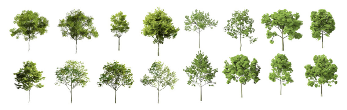 Realistic vector illustration of outdoor trees shapes, cutout backgrounds, PNG, nature, forest, leaf patterns, landscape, isolated trees, green foliage, eco-friendly design, nature scenery