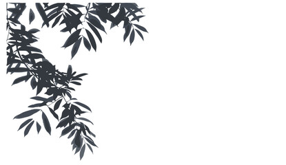 Naklejka premium Tree branches leaves shadow movement, realistic vector illustration, shade effect, transparent background png, nature design, foliage art, natural textures, green organic