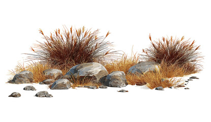 Vector illustration savanna dry grass meadow shrubs rocks transparent background, isolated grassland, nature landscape, wild terrain, desert plants, natural environment, rocky landscape © aura studio