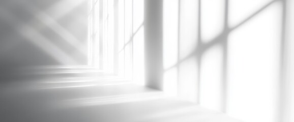 Fototapeta premium Sunlit interior hallway, white walls, window shadows, product display