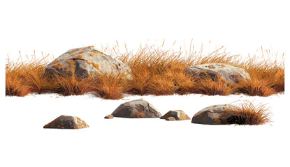 Vector illustration, savanna grass fields, meadow with rocks, transparent background, dry terrain, African wildlife, natural meadows, rocky landscape, wild grass, sunlit meadow