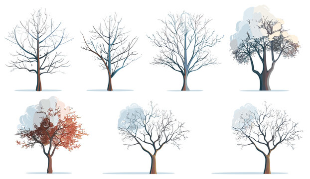 Seasonal trees shapes covered in snow, isolated PNG, vector illustration, transparent background, winter trees, snowy trees, snowy branches, winter season, frozen nature, Christmas trees