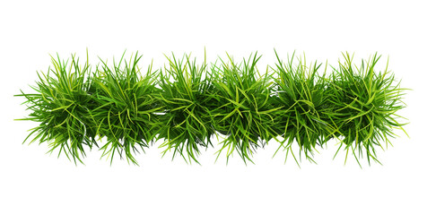 Vector illustration farming realistic green grassy row, agricultural landscape, field crops, rural scenery, nature farming, growth in field, farm planting, rural environment