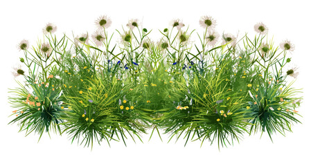 Fototapeta premium flowery grassy field, spring meadow vector, nature wildflowers, floral design, summer grass, blooming landscape, green meadow, vibrant outdoor scene