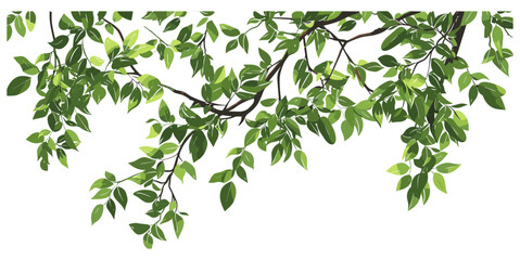 Tree branches vector, tall layout, leaves, nature, botanical, forest, green foliage, illustration, design, outdoor, seasonal, environment, landscape, greenery
