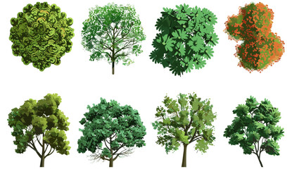 Isolate trees from above, vector illustration, tree top view, forest canopy, aerial tree set, green foliage, landscape elements, nature clipart, urban planning, park design