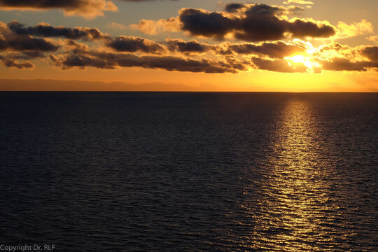 Brown Sunset