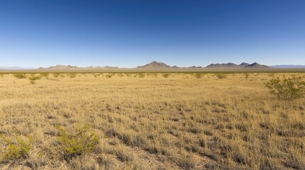 Vast Desert Plains Under Clear Sky
