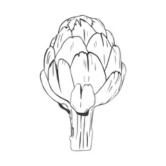 Artichoke silhouette illustration detailed
