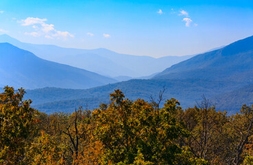 Travel mountains landscape with trees