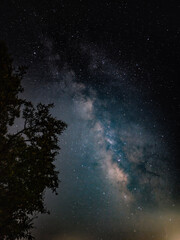 Milky Way under the trees