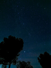 Fototapeta premium Rural nocturnal landscape