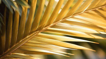 sunlight gold palm leaf