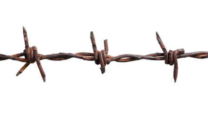 rusty barbed wire isolated on transparent white background, clipping path