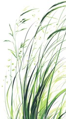Fototapeta premium Green vector art on a white background, featuring grasses 