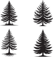 Obraz premium Larch Tree Silhouette Collection - Vector Illustrations