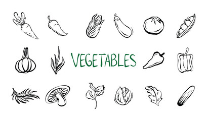 A Collection Of Hand Drawn Vegetable Illustrations