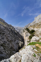 A mountain range with a clear blue sky. The mountains are covered in snow and the sky is bright and clear