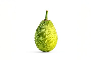 Realistic green jackfruit with spiky texture  .