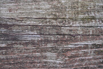 gray old wood flooring abstract as background, old wood texture close up as a background,	