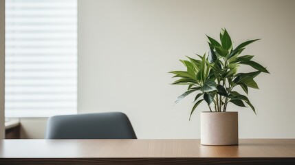 bonsai table plants