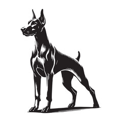 Modern Doberman Pinscher silhouette featuring artistic contours - Doberman Pinscher illustration - minimal Doberman Pinscher vector - dog silhouette
