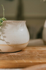 A white vase with a plant in it sits on a wooden table. The vase is small and has a yellow stripe on it. The plant is a small green plant with a few leaves. The scene is simple and peaceful