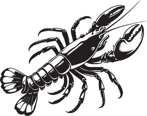 lobster black and white sketch drawing