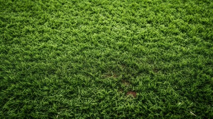 mound baseball texture