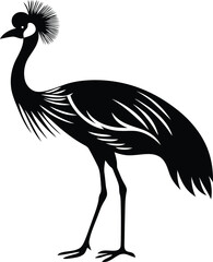 Standing Grey crowned crane balearica silhouette vector illustration, Grey crowned crane balearica iconic vector design