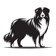 Australian Shepherd silhouette with a poised and confident stance - Australian Shepherd illustration - minimal Australian Shepherd vector - dog silhouette
