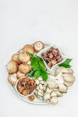 Assortment of various mushrooms - fresh, dried and pickled. Oyster, cremini, porcini and shiitake