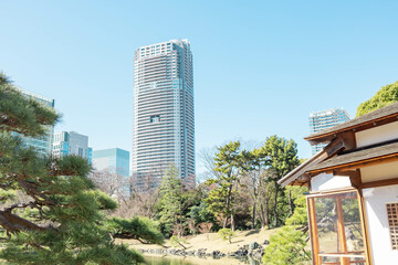 高層ビルに囲まれた日本の庭園