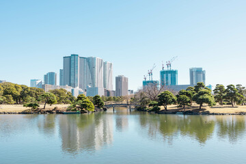 庭園から見える水面に映る東京のビル群