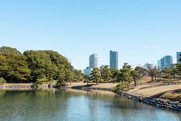 Fototapeta premium 高層ビルに囲まれた日本の庭園